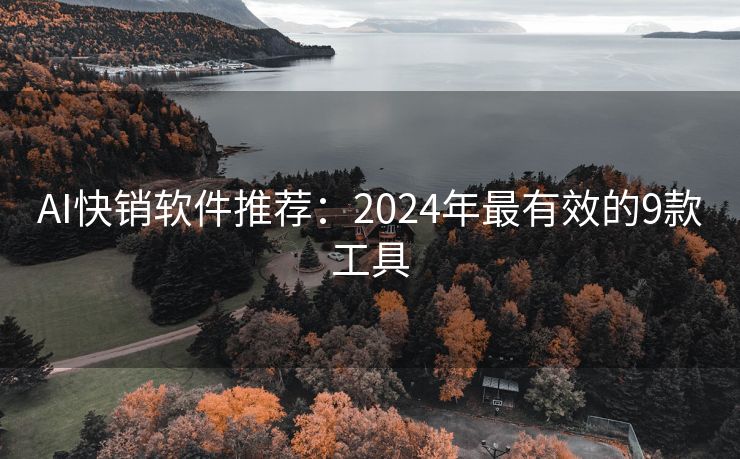 AI快销软件推荐：2024年最有效的9款工具